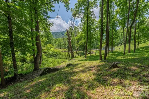 702 Love Joy Road Canton NC 28716