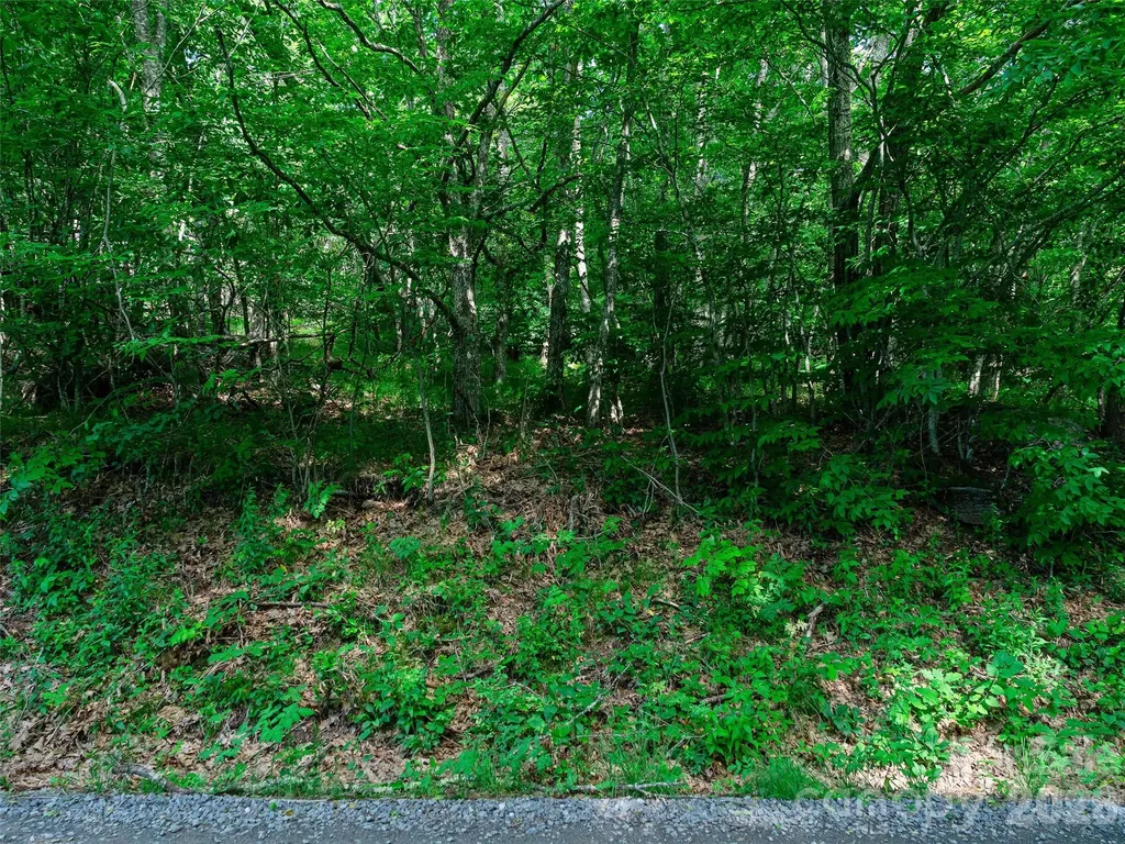 0 Ogle Meadows Road Burnsville NC 28714