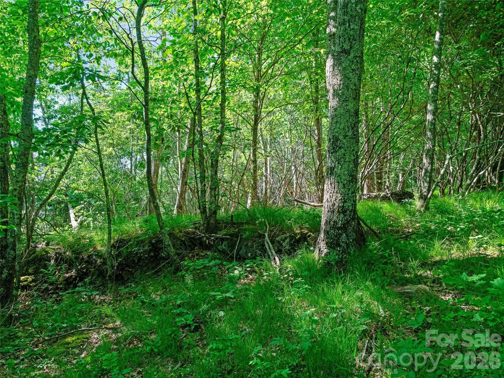 0 Ogle Meadows Road Burnsville NC 28714