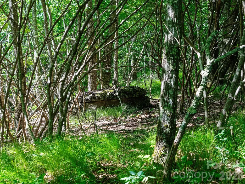0 Ogle Meadows Road Burnsville NC 28714