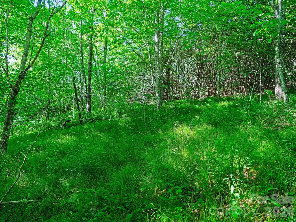 0 Ogle Meadows Road Burnsville NC 28714