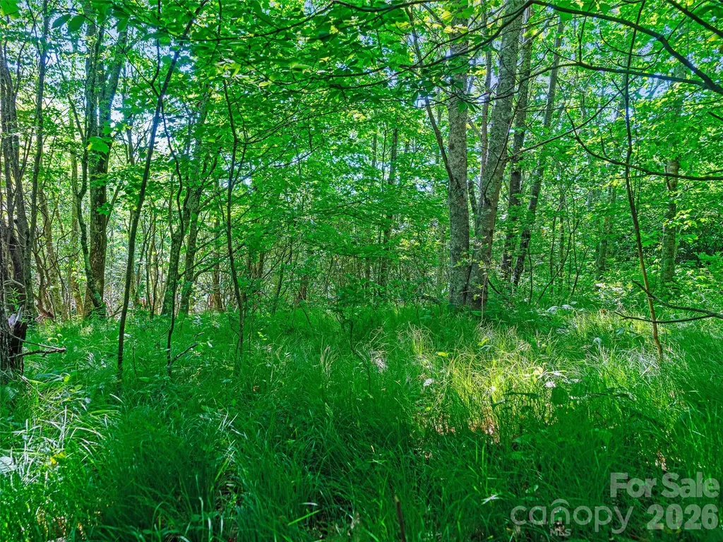 0 Ogle Meadows Road Burnsville NC 28714