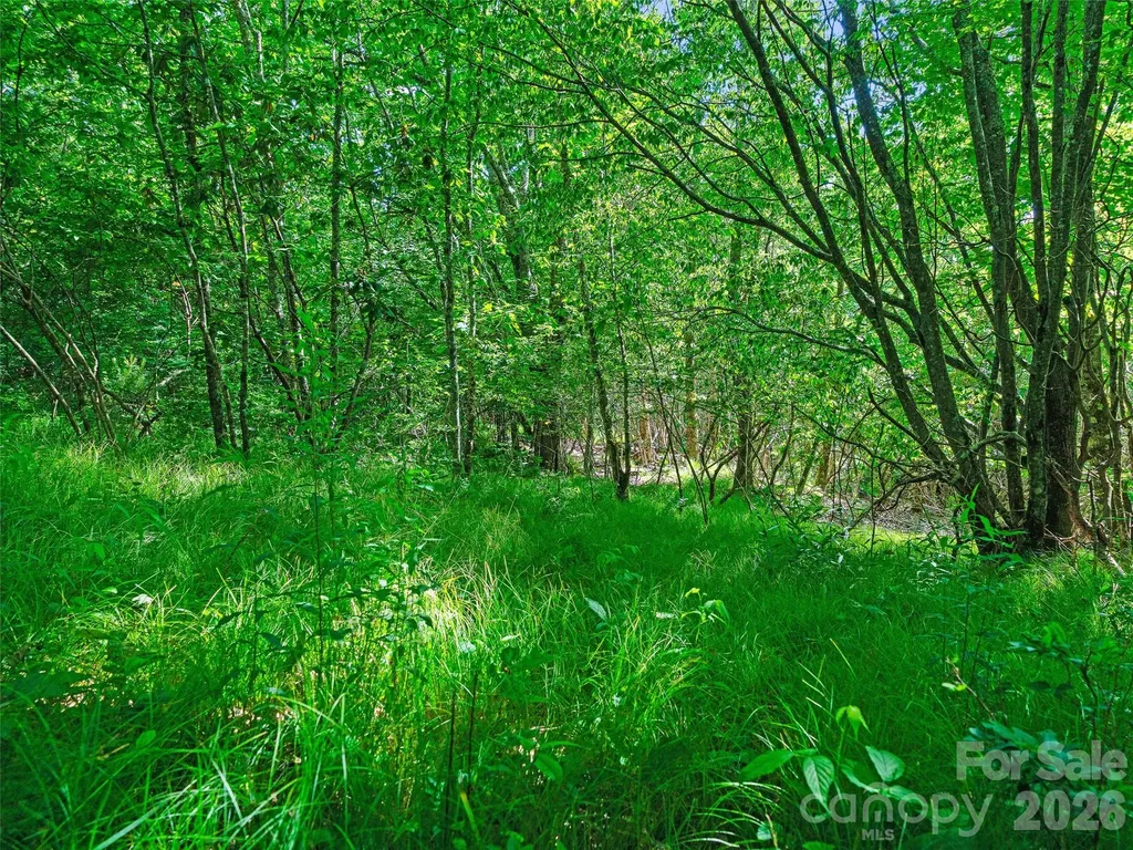 0 Ogle Meadows Road Burnsville NC 28714
