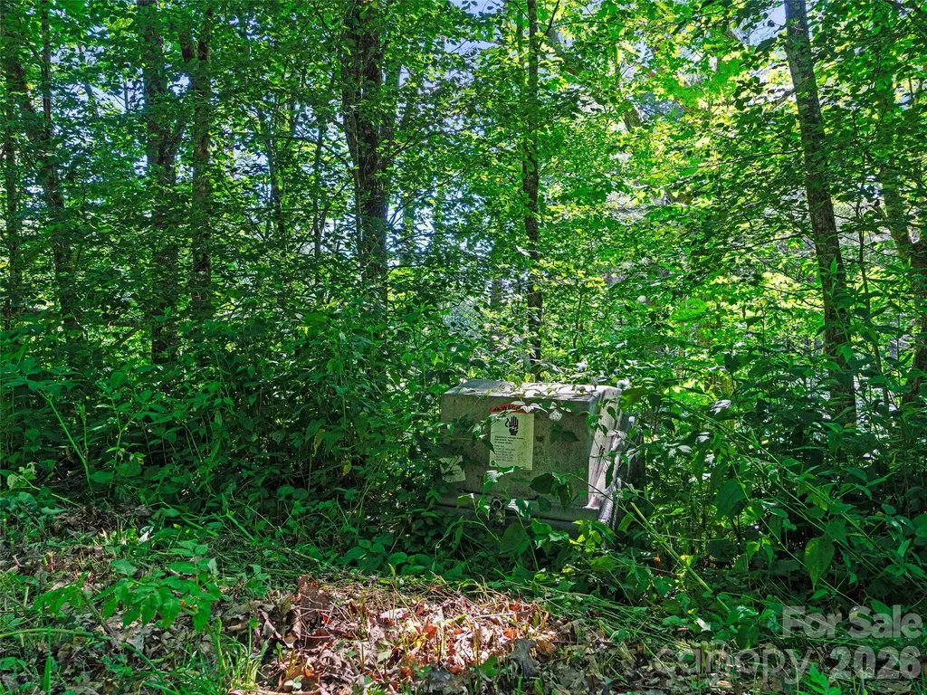 0 Ogle Meadows Road Burnsville NC 28714