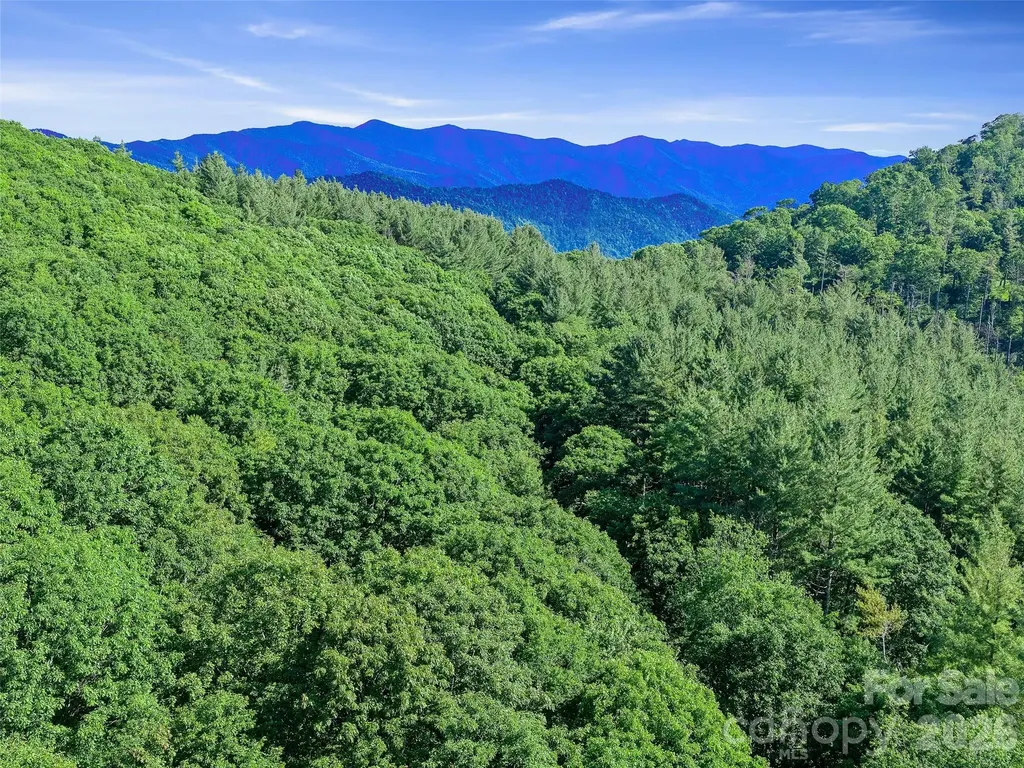 0 Ogle Meadows Road Burnsville NC 28714
