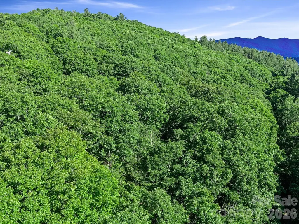 0 Ogle Meadows Road Burnsville NC 28714