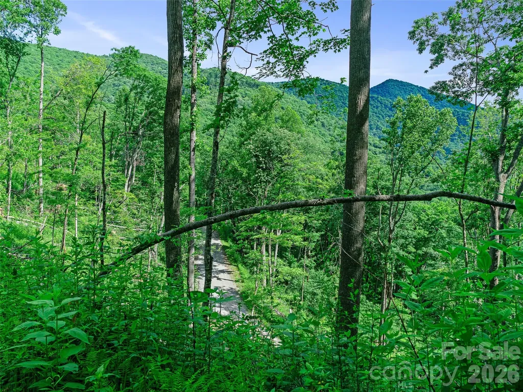 0 Ogle Meadows Road Burnsville NC 28714