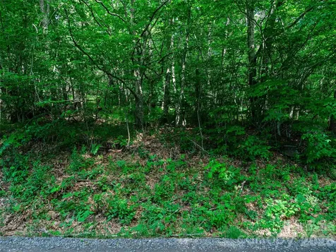 0 Ogle Meadows Road Burnsville NC 28714