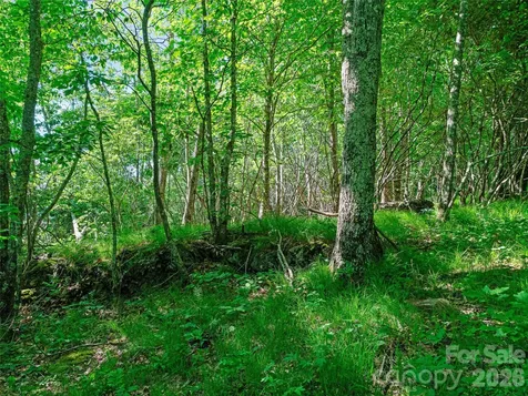 0 Ogle Meadows Road Burnsville NC 28714