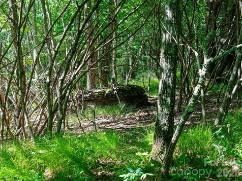 0 Ogle Meadows Road Burnsville NC 28714