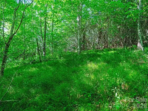 0 Ogle Meadows Road Burnsville NC 28714