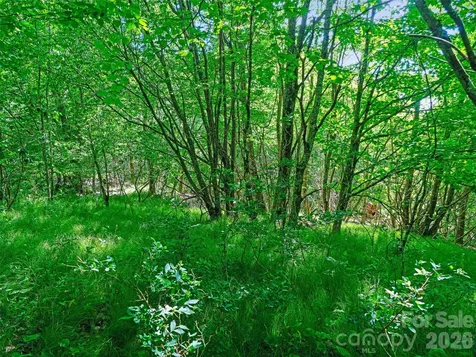 0 Ogle Meadows Road Burnsville NC 28714