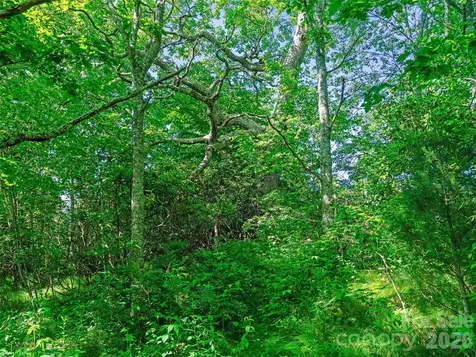 0 Ogle Meadows Road Burnsville NC 28714