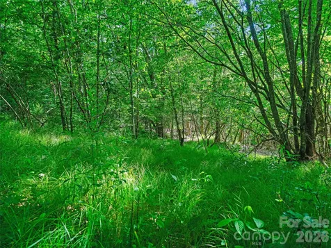 0 Ogle Meadows Road Burnsville NC 28714