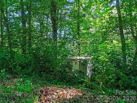 0 Ogle Meadows Road Burnsville NC 28714