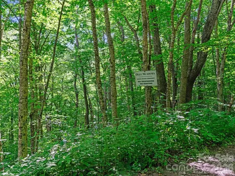 0 Ogle Meadows Road Burnsville NC 28714