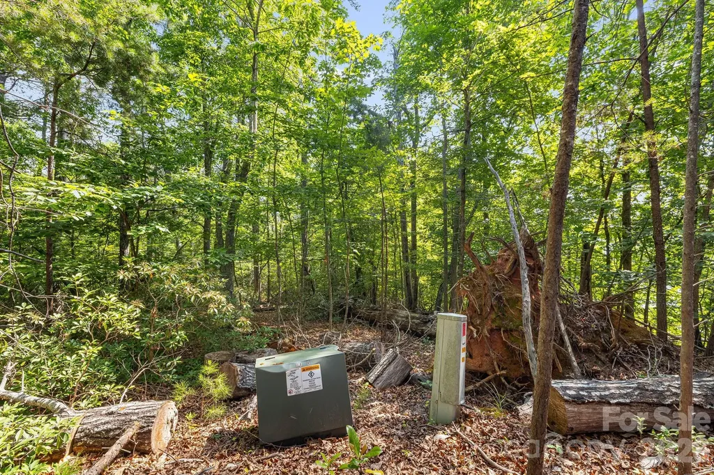 00 Canoe Drive Mill Spring NC 28756