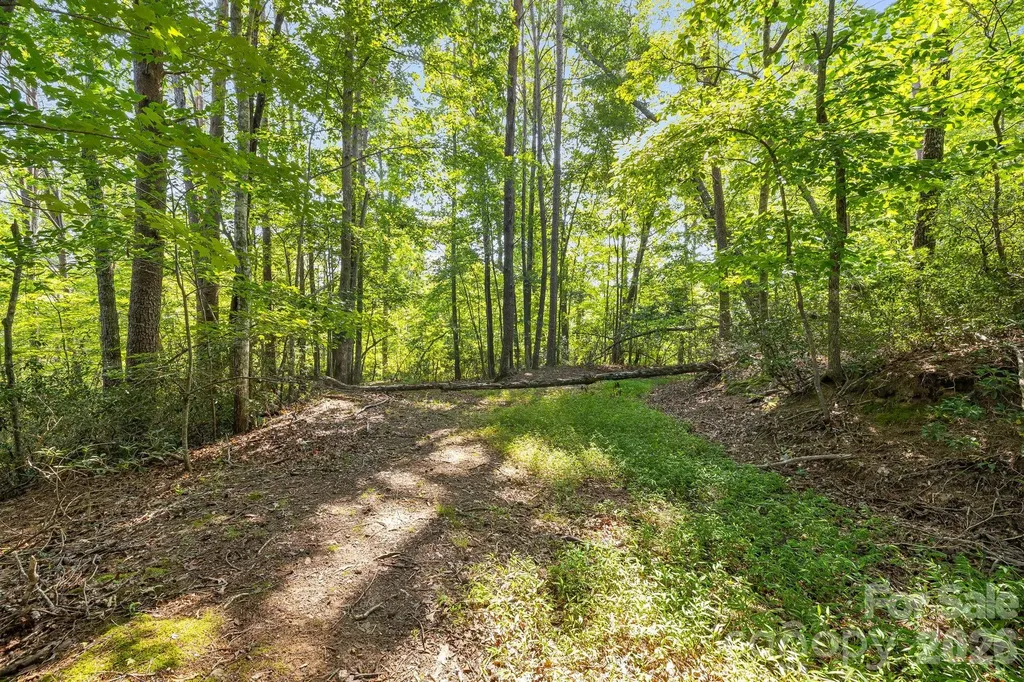 00 Canoe Drive Mill Spring NC 28756