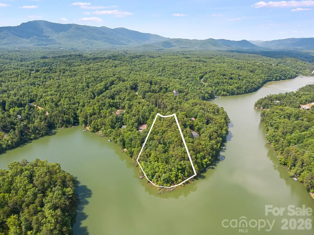 00 Canoe Drive Mill Spring NC 28756