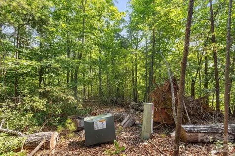 00 Canoe Drive Mill Spring NC 28756