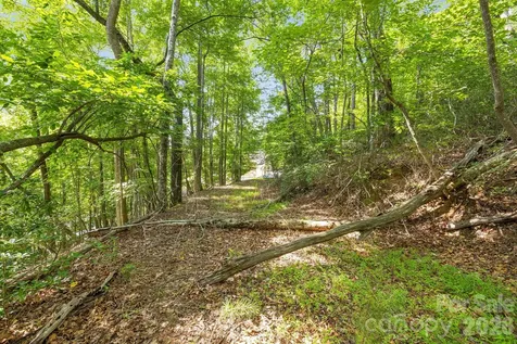 00 Canoe Drive Mill Spring NC 28756