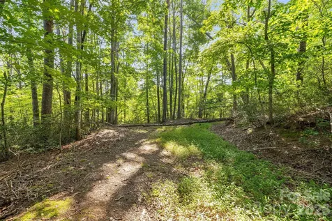00 Canoe Drive Mill Spring NC 28756