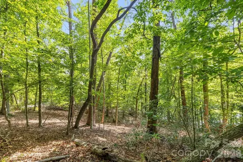 00 Canoe Drive Mill Spring NC 28756