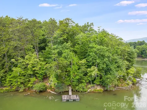 00 Canoe Drive Mill Spring NC 28756