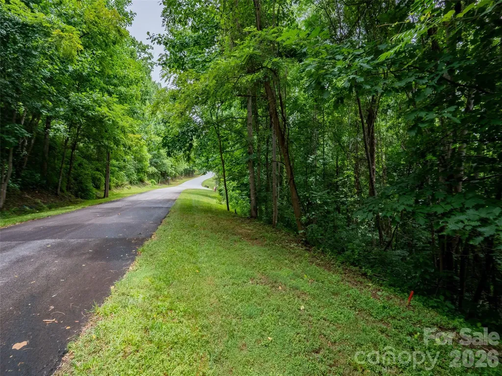236 Nottingham Drive Mill Spring NC 28756