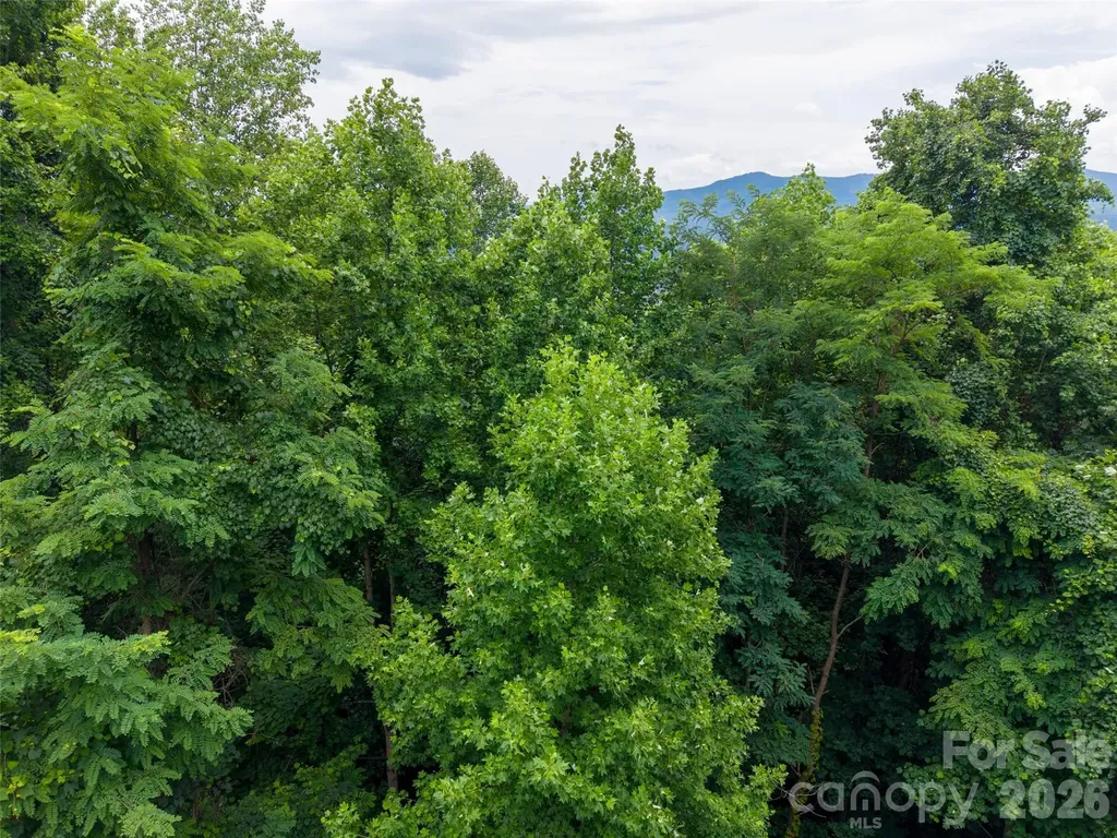 236 Nottingham Drive Mill Spring NC 28756