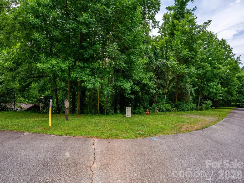236 Nottingham Drive Mill Spring NC 28756