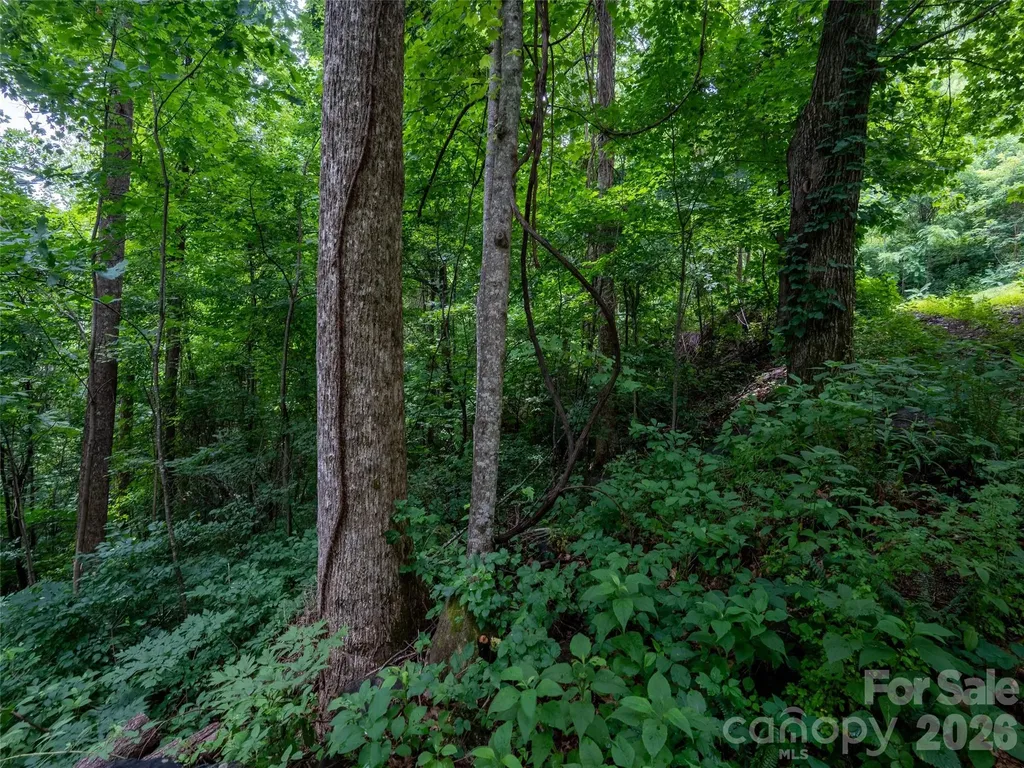 236 Nottingham Drive Mill Spring NC 28756