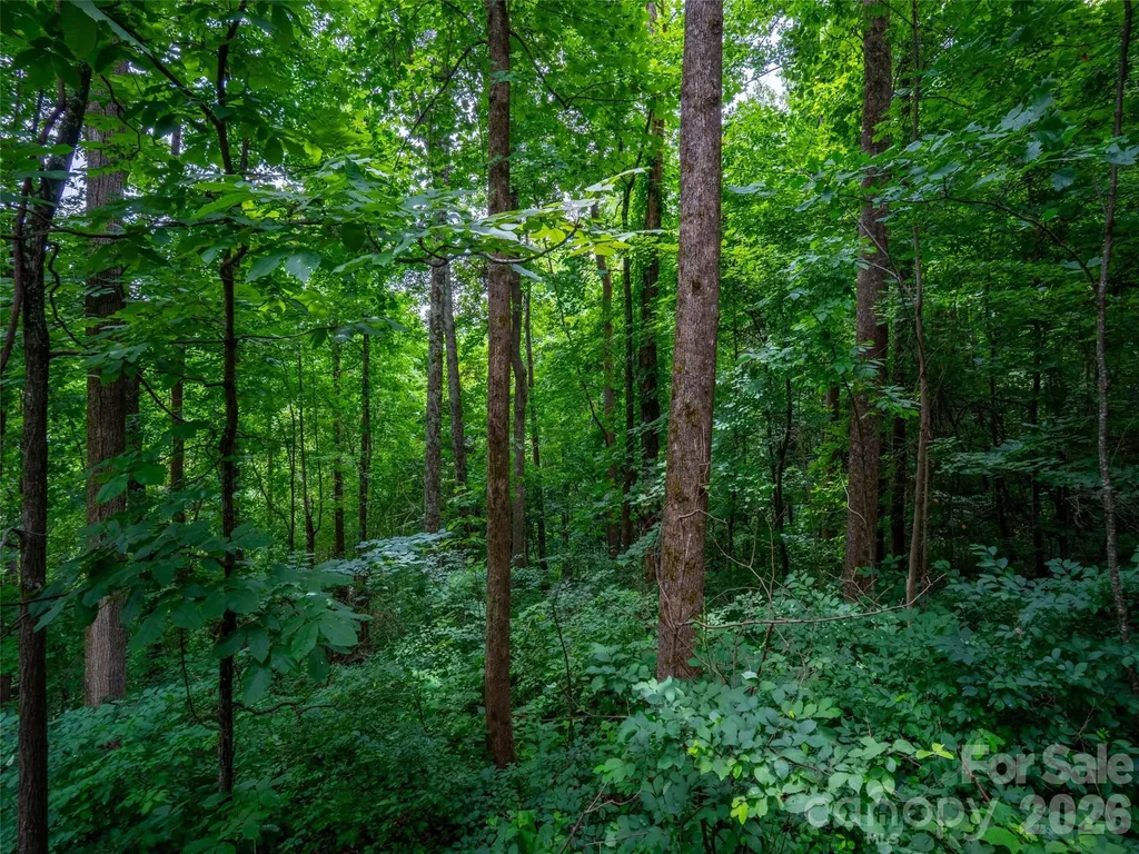 236 Nottingham Drive Mill Spring NC 28756