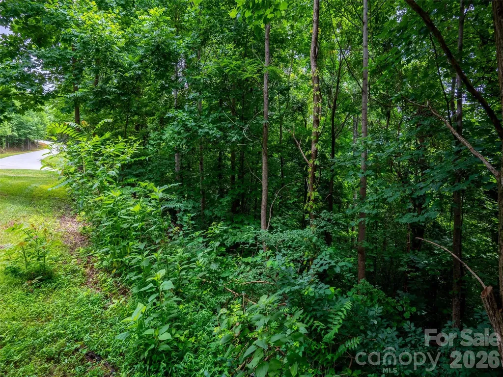 236 Nottingham Drive Mill Spring NC 28756