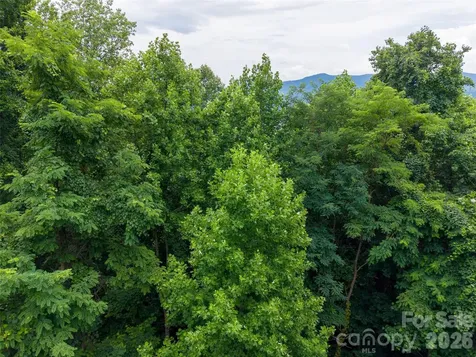 236 Nottingham Drive Mill Spring NC 28756