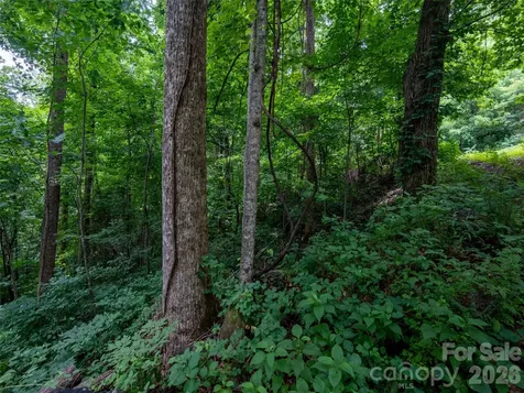 236 Nottingham Drive Mill Spring NC 28756