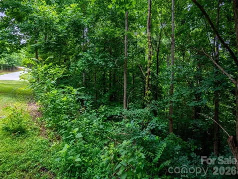 236 Nottingham Drive Mill Spring NC 28756
