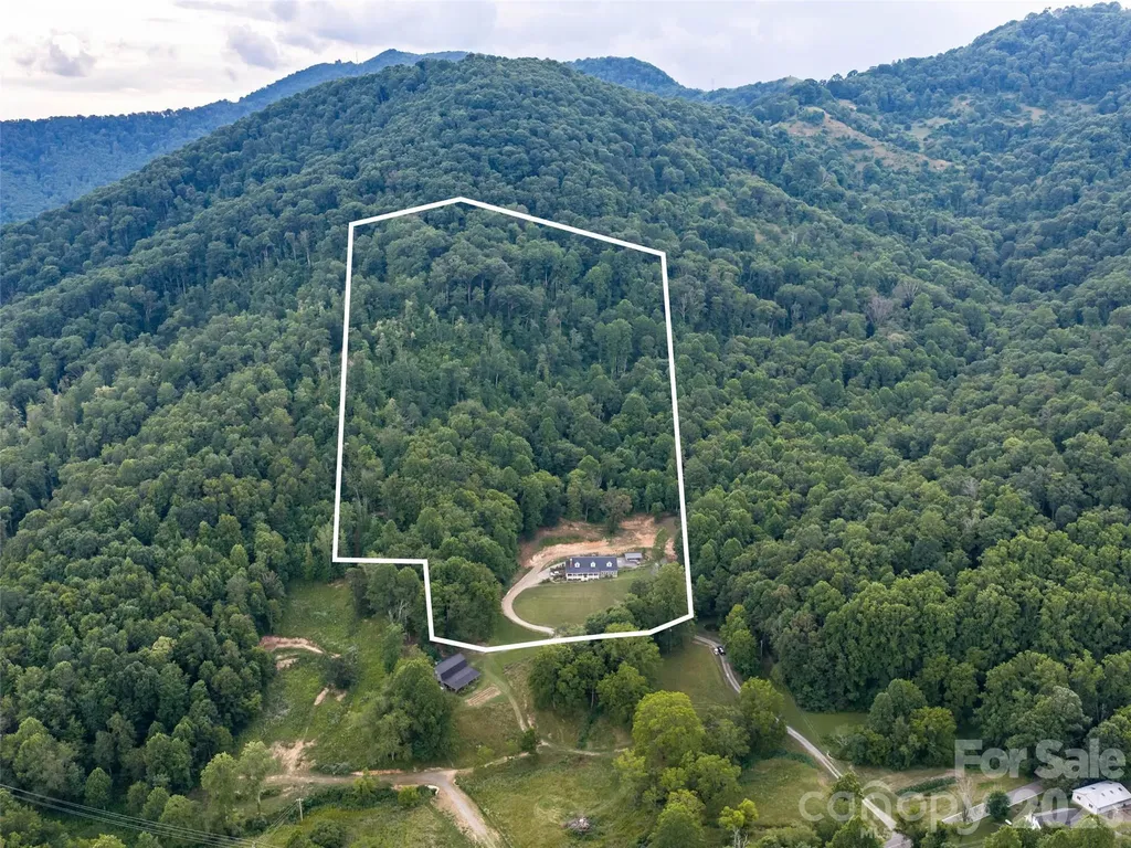 81 Aldens Way Clyde NC 28721