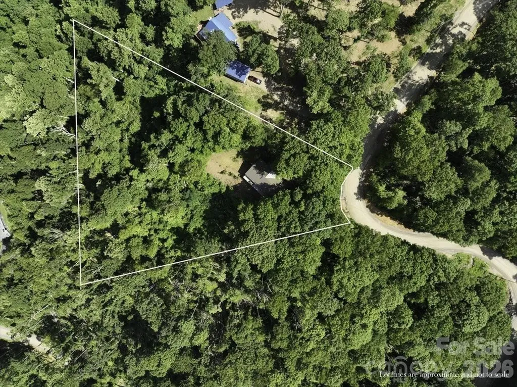 1355 Moonshine Mountain Road Burnsville NC 28714