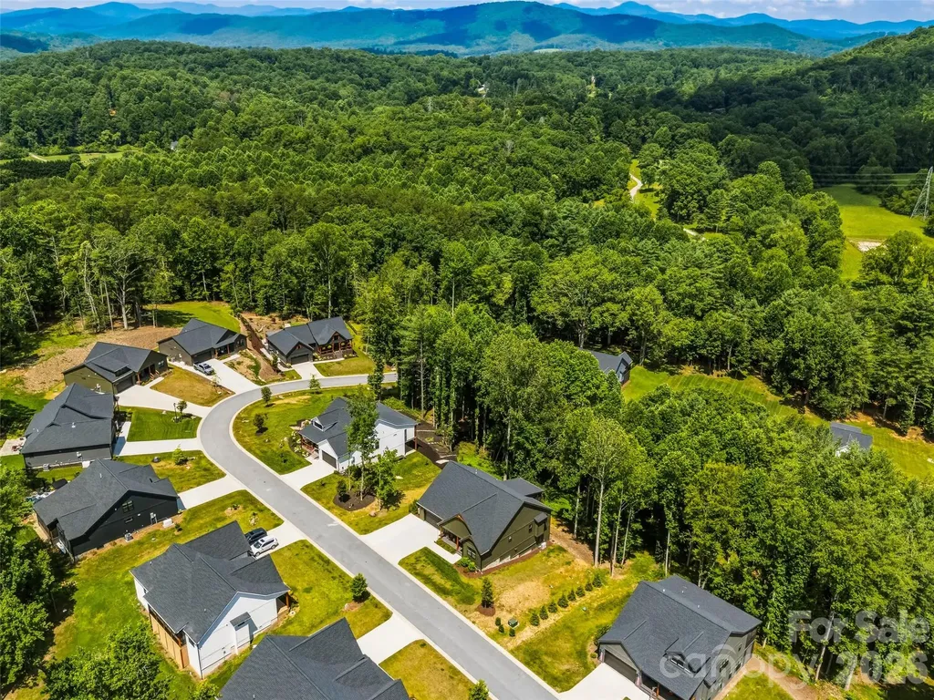 181 Byron Forest Drive Horse Shoe NC 28742