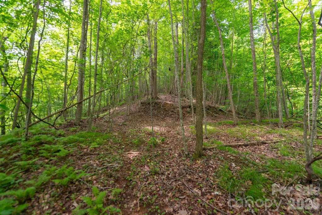 ### Board Tree Road Marshall NC 28753