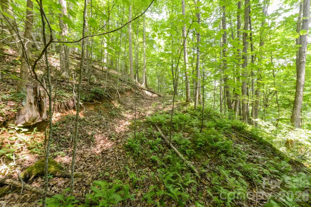 ### Board Tree Road Marshall NC 28753