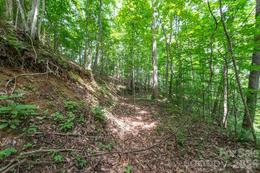 ### Board Tree Road Marshall NC 28753