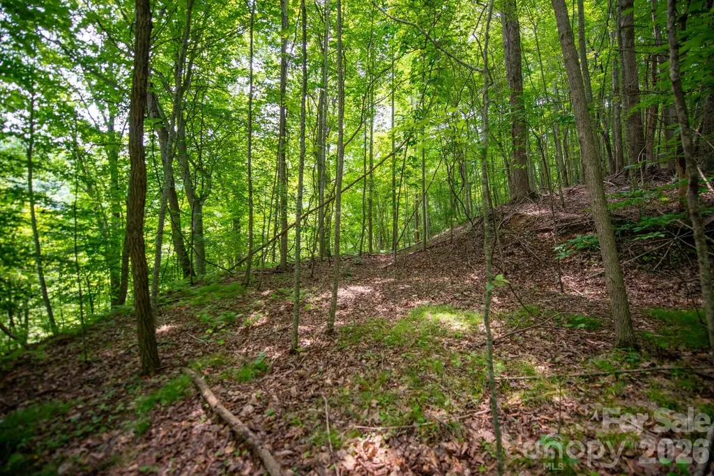 ### Board Tree Road Marshall NC 28753
