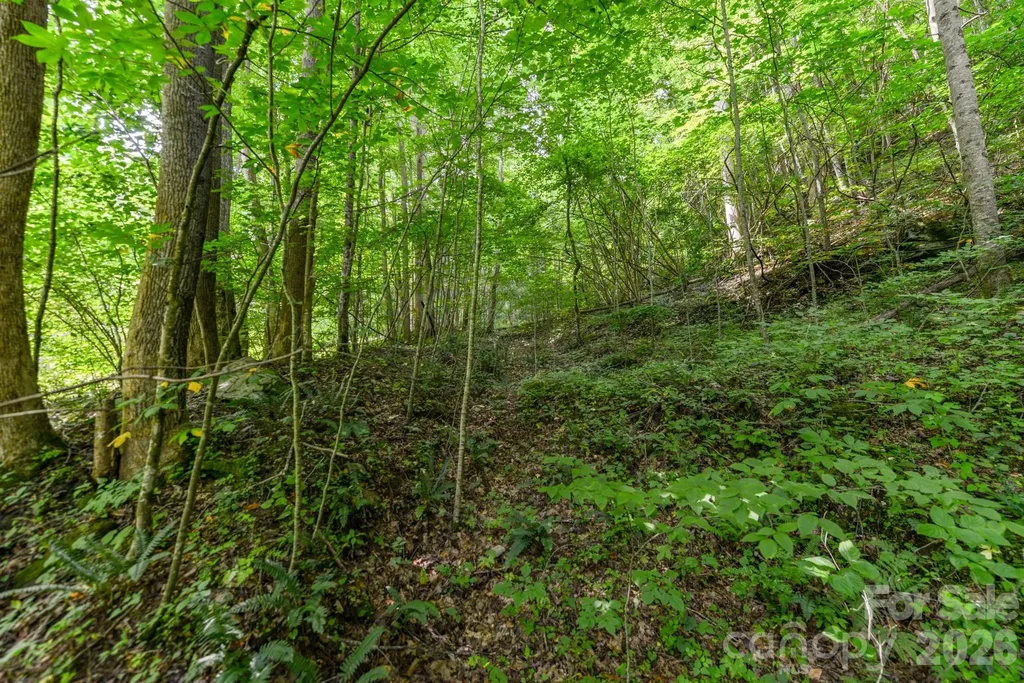 ### Board Tree Road Marshall NC 28753