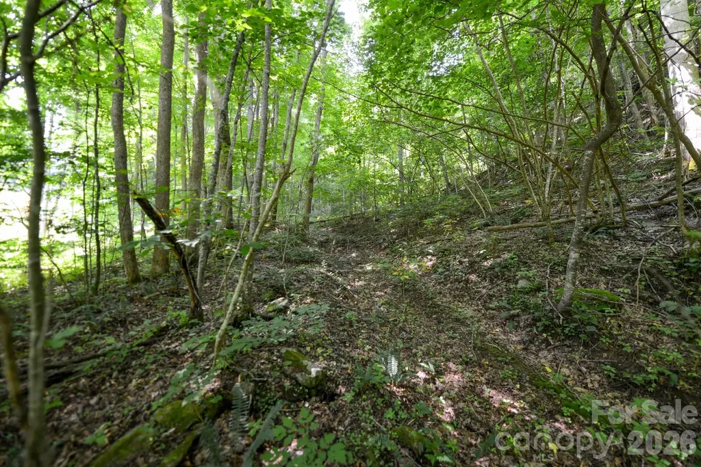 ### Board Tree Road Marshall NC 28753