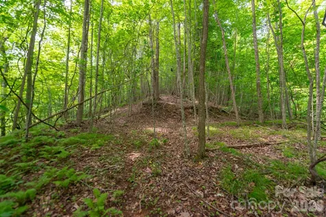 ### Board Tree Road Marshall NC 28753