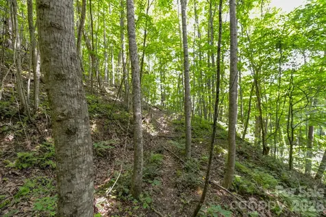 ### Board Tree Road Marshall NC 28753
