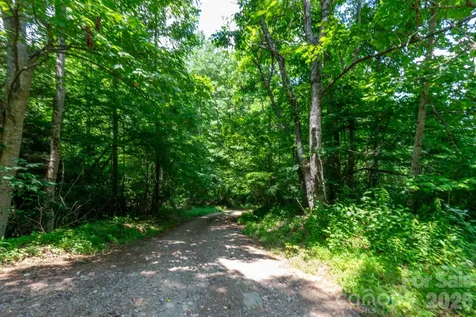 ### Board Tree Road Marshall NC 28753