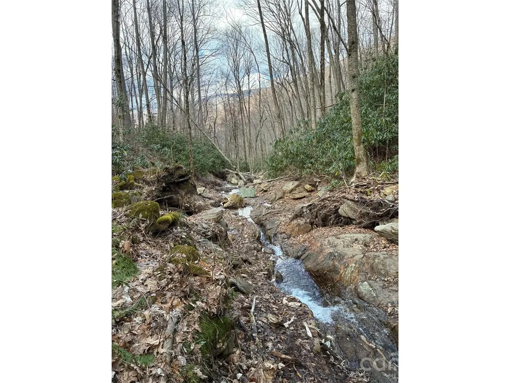 000 Ogles Gap Road Burnsville NC 28714